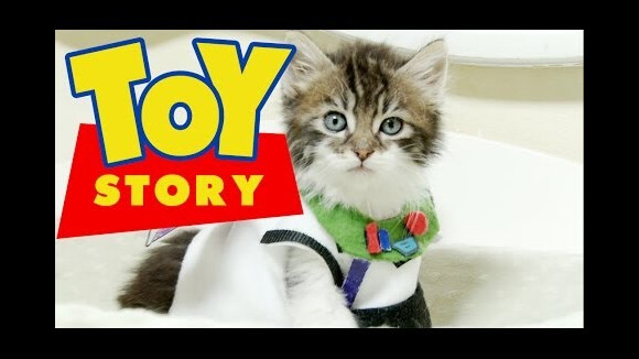 [VIDÉO] Toy Story entièrement raconté par des chatons