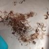 M. Pokora : Robin des Bois passe chez le coiffeur