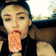 Miley Cyrus : &quot;Les mecs regardent trop de porno&quot;