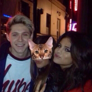 Selena Gomez et Niall Horan : nouvelles rumeurs de couple après une sortie