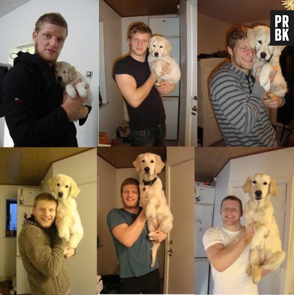 avant-après animaux 025