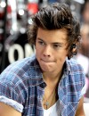 Harry Styles : le One Direction est un homme à cougars