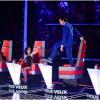The Voice 3 : Mika fait le show sur TF1