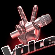 The Voice 3 : une finale masculine, Twitter et les stars en colère