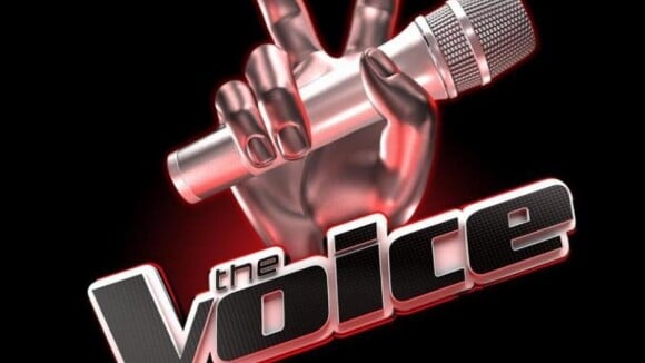 The Voice 3 : une finale masculine, Twitter et les stars en colère