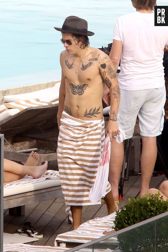 Harry Styles : un torse rempli de tatouages, le 7 mai 2014 à Rio de Janeiro