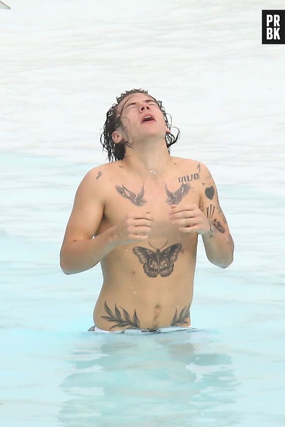 Harry Styles : un torse rempli de tatouages, le 7 mai 2014 à Rio de Janeiro