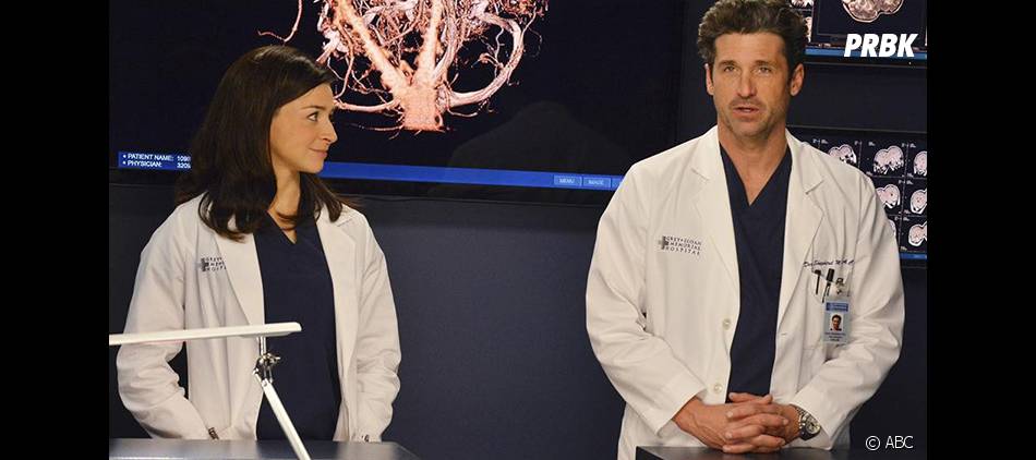 Grey's Anatomy saison 11 : Derek retrouvera sa soeur - Purebreak
