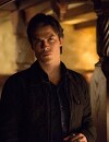  Vampire Diaries saison 6 : Damon de retour, mais comment ? 
