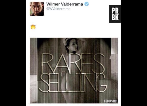 Demi Lovato : un hacker publie des photos d'elle à moitié nue via le compte Twitter de Wilmer Valderrama