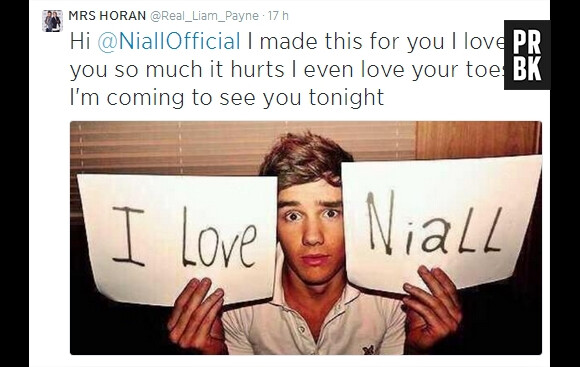 Liam Payne déclare son amour à Niall Horan sur Twitter