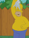 le Ice Bucket Challenge d'Homer Simpson