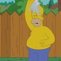 Les Simpson : Homer Simpson et son Ice Bucket Challenge délirant
