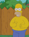  Les Simpson : Homer fait l'Ice Bucket Challenge 