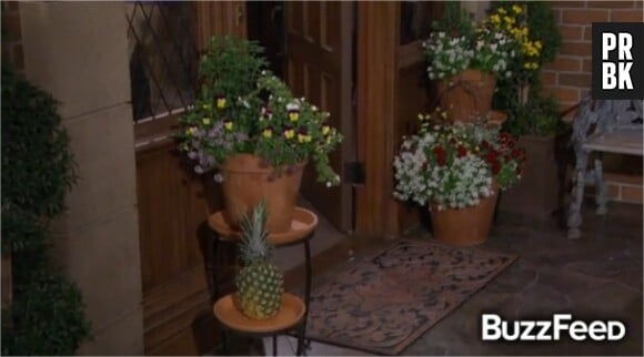 How I Met Your Mother : l'ananas dans une scène coupée de la saison 9