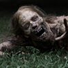 The Walking Dead : les zombies de retour en 2015/2016 avec une saison 6