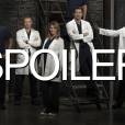  Grey's Anatomy saison 11 : un couple bient&ocirc;t s&eacute;par&eacute; ? 