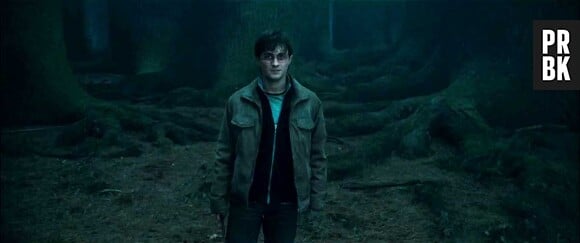 Harry Potter : Daniel Radcliffe sur une photo