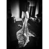Shy'm : sa robe des NRJ Music Awards 2014 ?