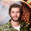 Hunger Games 3 : Liam Hemsworth durant un photocall à Londres (9 novembre 2014)