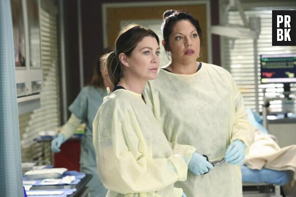Grey's Anatomy saison 11, épisode 7 : Ellen Pompeo et Sara Ramirez sur une photo