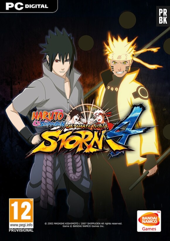 Naruto Ultimate Ninja Storm 4 : la jaquette PC
