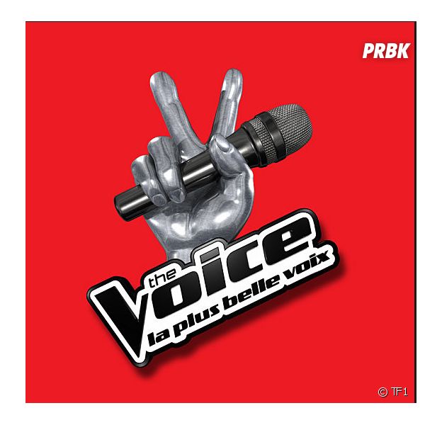 The Voice 4 : l'année des changements pour l'émission de TF1