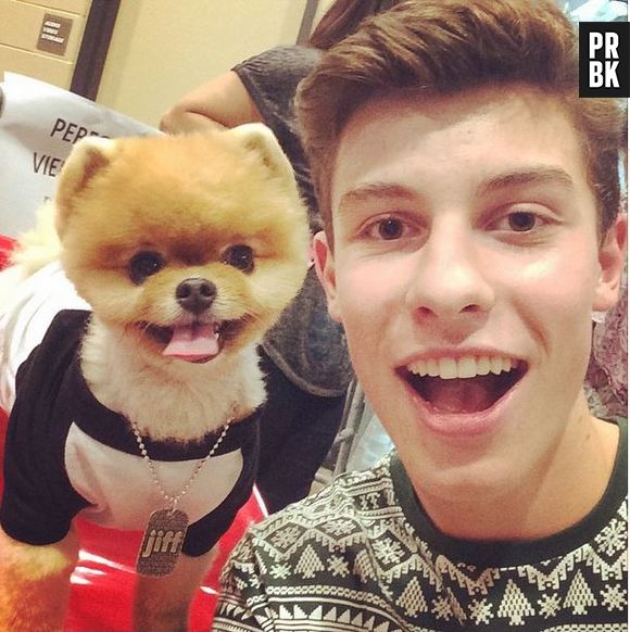 Shawn Mendes : la star de Vine va sortir son premier album