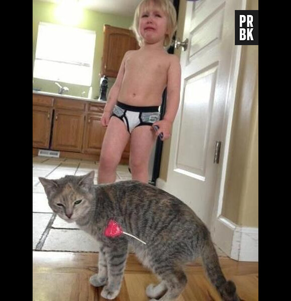 Un enfant apprend qu'on ne joue avec sa sucette et son chat en même temps