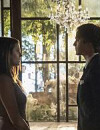  The Vampire Diaries saison 6, &eacute;pisode 21 : du romantisme pour Damon et Elena 