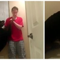 Un chien réconforte sa maîtresse autiste en pleine crise d&#039;angoisse : une vidéo pleine d&#039;émotion