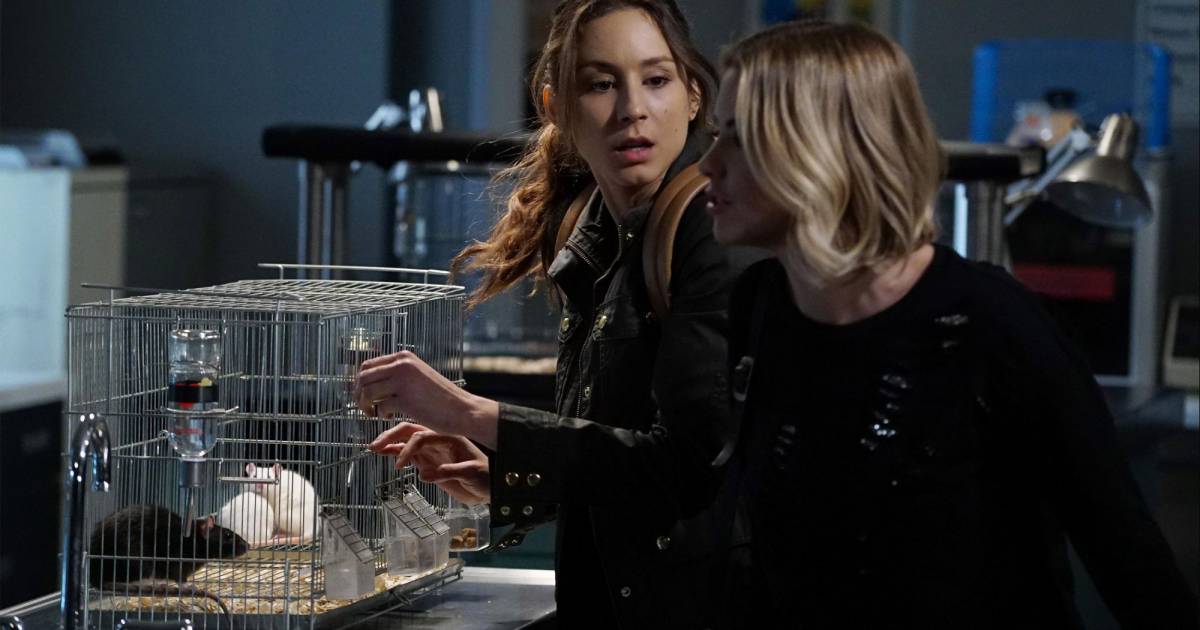 Pretty Little Liars Saison 1 épisode 6 Pretty Little Liars saison 6, épisode 6 : Spencer (Troian Bellisario