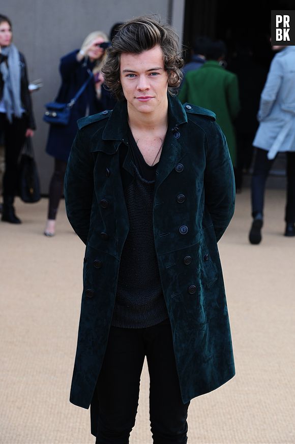 Harry Styles clashé par une fan à cause d'un selfie