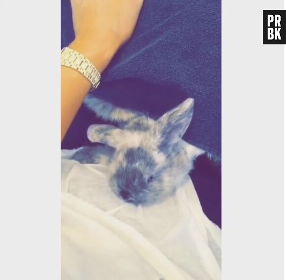 Kylie Jenner a présenté son bébé lapin sur Snapchat