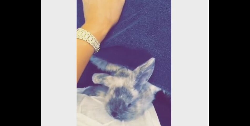  Kylie Jenner a présenté son bébé lapin sur Snapchat 