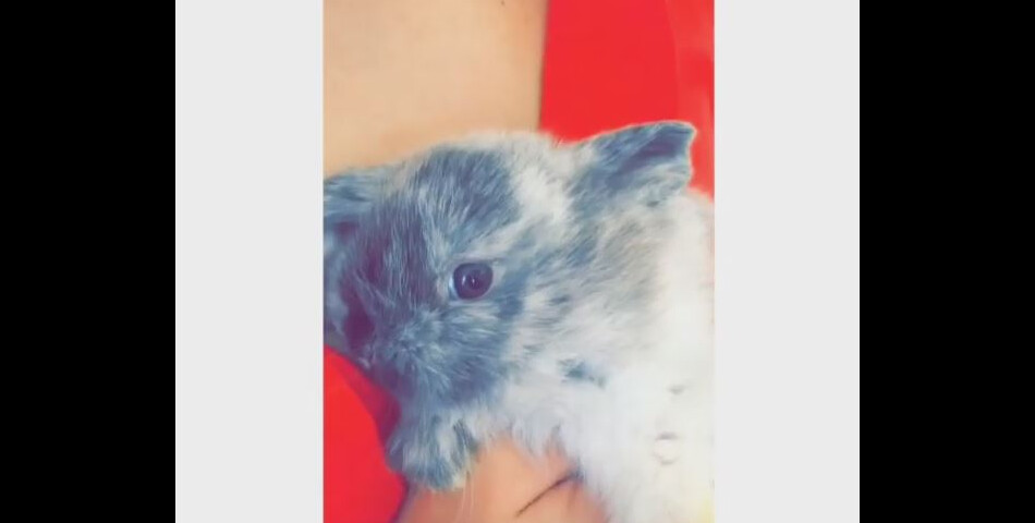 Kylie Jenner nous présente son lapin sur Snapchat