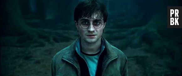 Harry Potter : découvrez dans quelle maison son fils a été admis à Poudlard