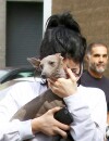 Kylie Jenner se cache derrière son chien le 21 septembre à Los Angeles