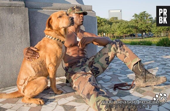 Petite pause pour le militaire et le chien à adopter
