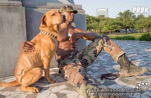 Petite pause pour le militaire et le chien à adopter