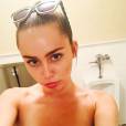Miley Cyrus and her group Miley Cyrus and her dead petz: soon a concert where all the public will be naked for the shooting of a clip?