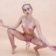Miley Cyrus nude: queen of provocation on Instagram