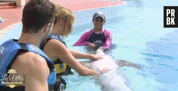 La Villa des Coeurs Brisés : Ludivine rencontre des dauphins lors de l'épisode 5 du 19 novembre 2015, sur NT1