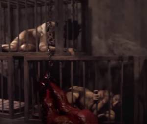 Sia : sa chanson Free the animal dans la vidéo choc de PETA