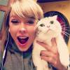 Les photos les plus likées sur Instagram en 2015 : 4. Taylor Swift et son chat