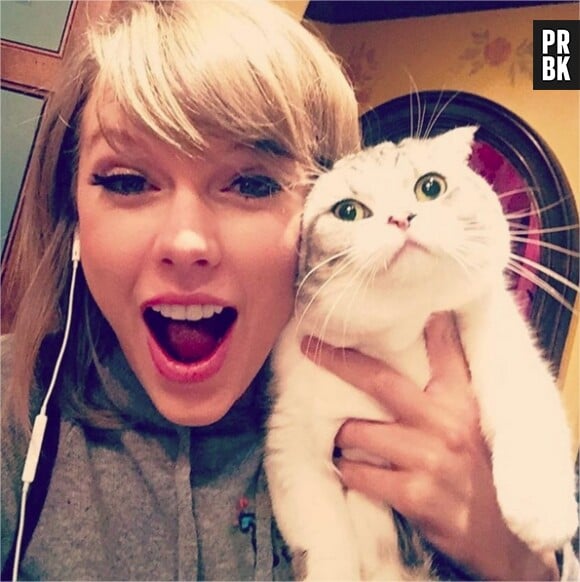 Les photos les plus likées sur Instagram en 2015 : 4. Taylor Swift et son chat