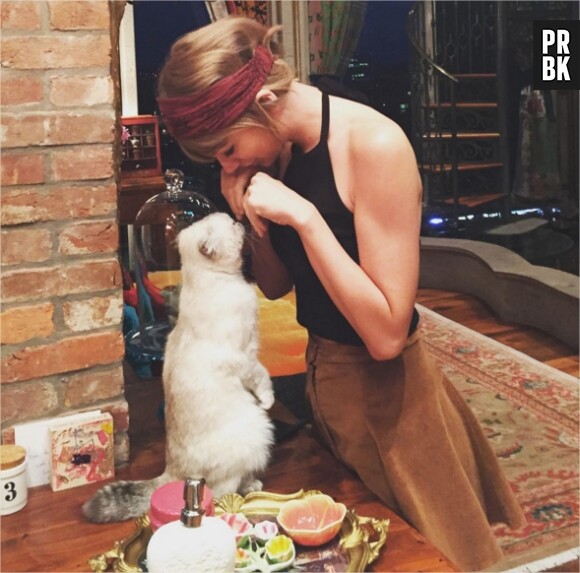 Les photos les plus likées sur Instagram en 2015 : 8. Taylor Swift et son chat (encore)