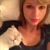 Les photos les plus likées sur Instagram en 2015 : 10. Taylor Swift et son chat