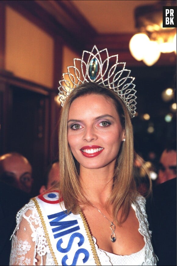 Sylvie Tellier, Miss France 2002