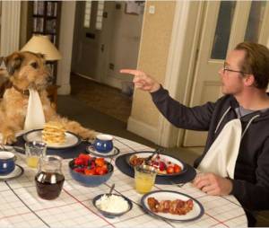 Absolutely Anything est actuellement disponible en DVD et Bluray